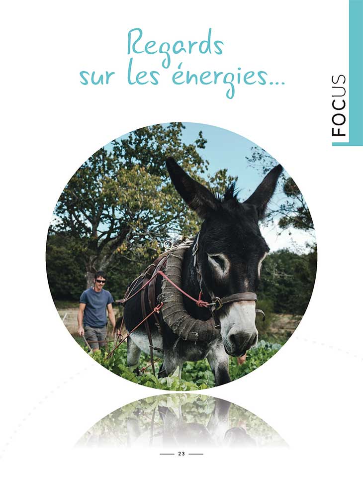Regard sur les énergies Focus